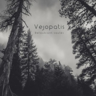 Vejopatis