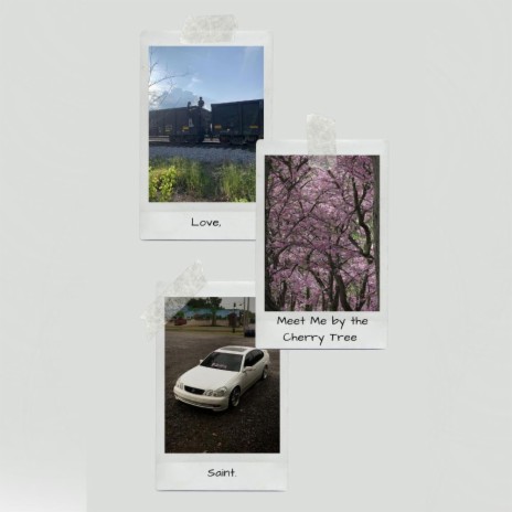 Dear David cover art