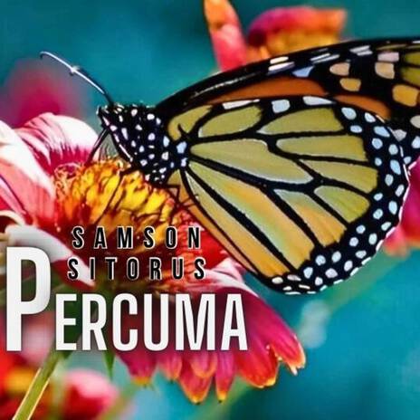 Percuma cover art