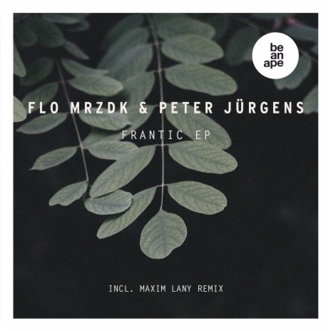Follow (Original) ft. Peter Jürgens cover art