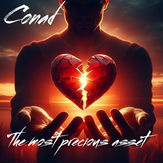 The most precious asset cover art