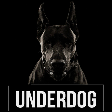 Bruce Wayne Type cover art