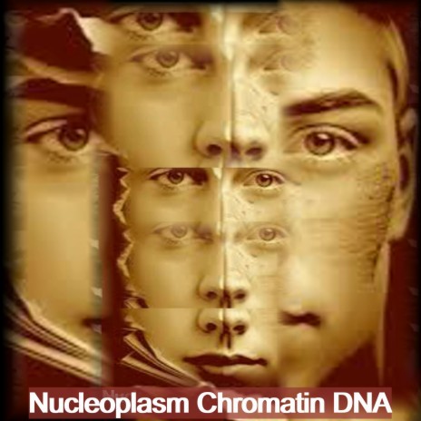 Nucleoplasm Chromatin Dna cover art