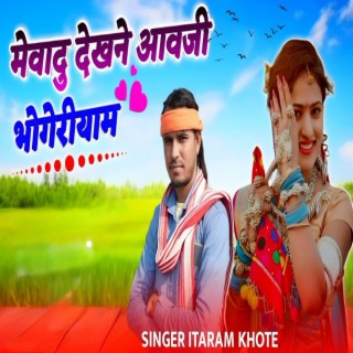 Mewadu Dekhne Aawji Bhogeriyam cover art