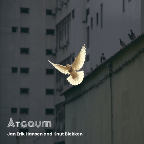 Åtgaum ft. Jan Erik Hansen cover art