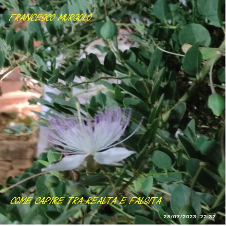 Come capire tra realta e falsita cover art