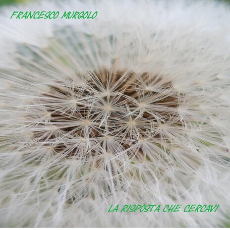 La risposta che cercavi cover art