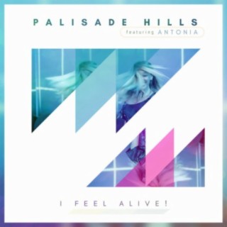 Palisade Hills
