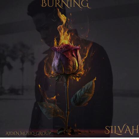 Burning cover art