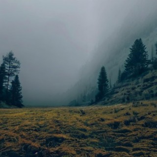 PATHS