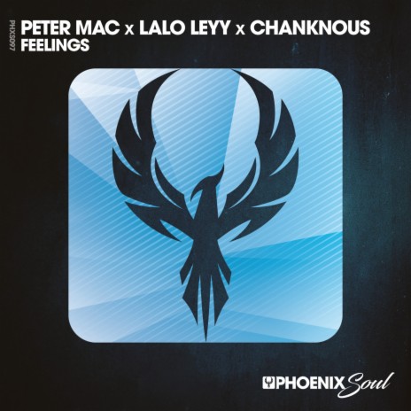 Feelings (Extended Mix) ft. Lalo Leyy & Chanknous cover art