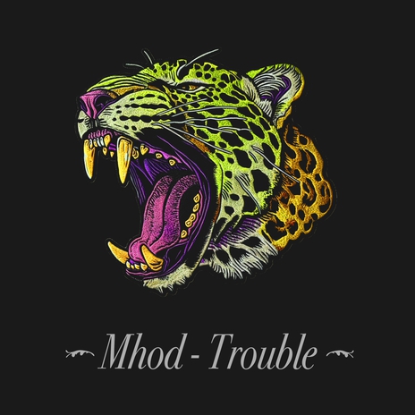 Trouble cover art