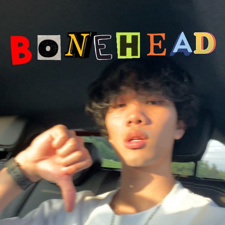 Boneheaded Boy cover art