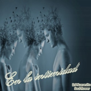 En la intimidad ft. DJ Nuevesito cover art