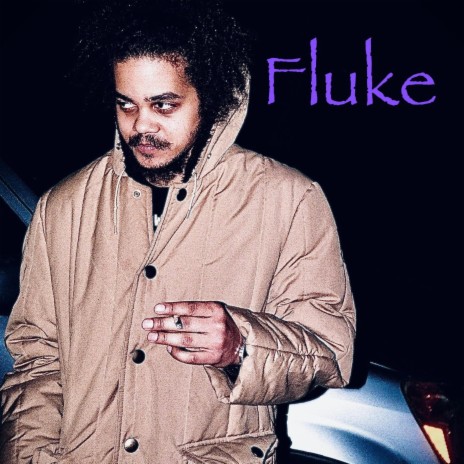 Fluke cover art