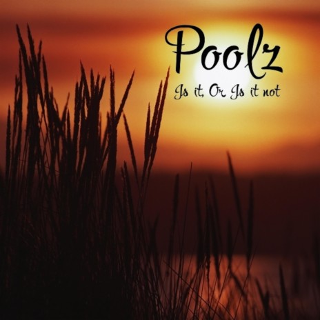 Is it, Or Is it not cover art