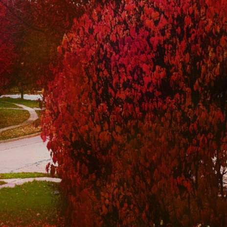 Hypocrisy cover art