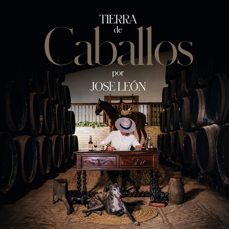 Adónde Se Fue La Feria ft. Resolana cover art