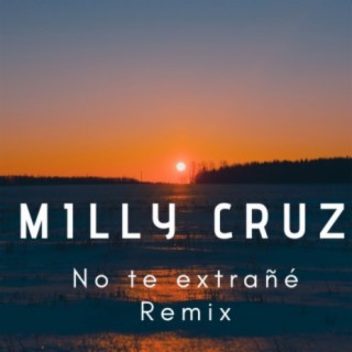 No Te Extrañe Remix cover art