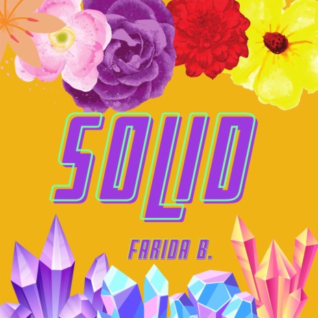 Solid cover art