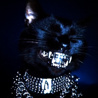 GriLLZ