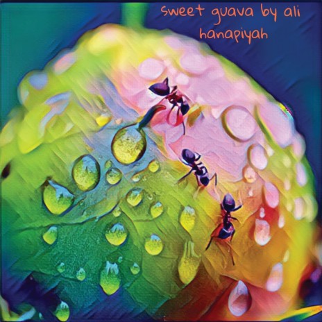 Sweet Guava cover art