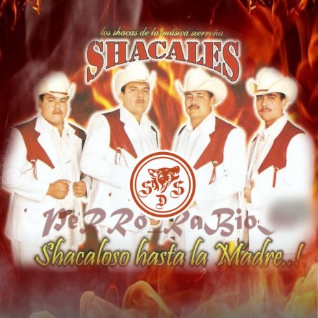 Rosas cover art