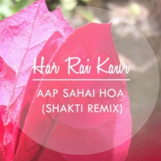Aap Sahai Hoa Shakti Remix (Remix)