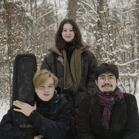 Falling Like a Snow ft. Aylin & muzemon. cover art
