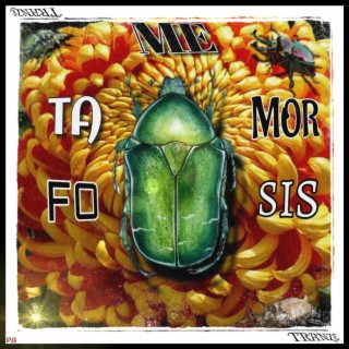 METAMORFOSIS