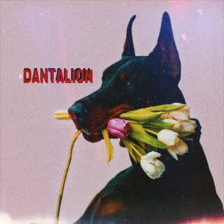 DANTALION cover art