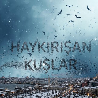 Haykırışan Kuşlar cover art