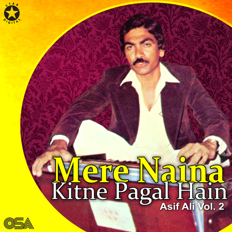 Koi Humnafas Nahin Hai cover art