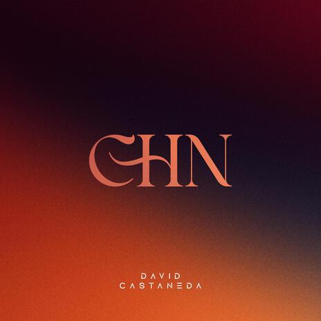 CHN (Radio Edit) cover art