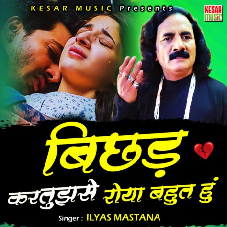 Bichad Kar Tujhse Roya Bahot Hun cover art