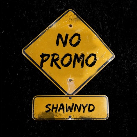 NO PROMO cover art