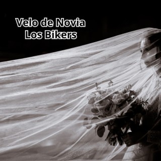 Velo de Novia