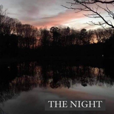 The Night