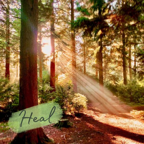 Heal cover art