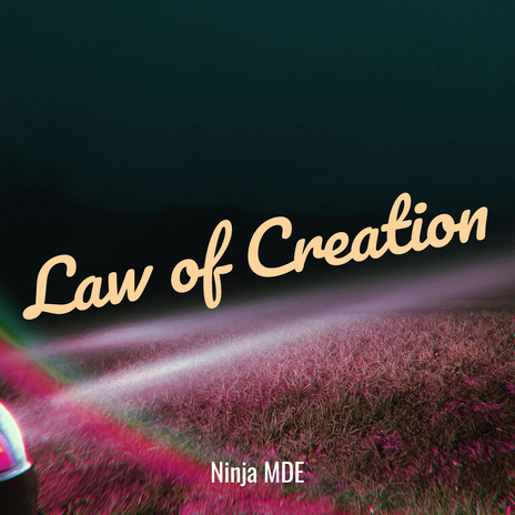 Law of Creation cover art