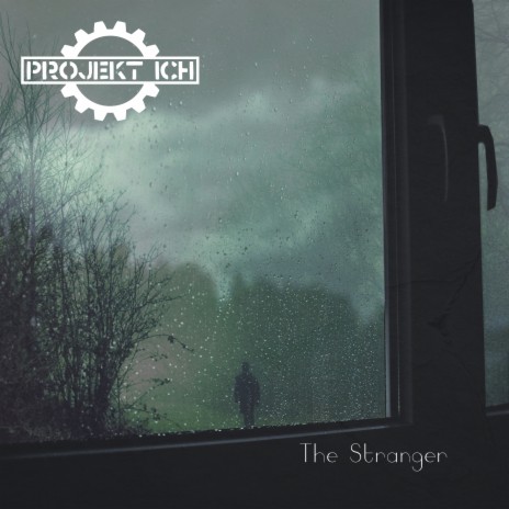 The Stranger (BaseExperience Club RecConstruction Instrumental Remix) ft. Faltenhall cover art