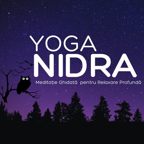Yoga NIDRA Meditație Ghidată pentru Relaxare Profundă