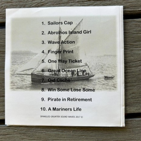 Pirate in Retirement cover art