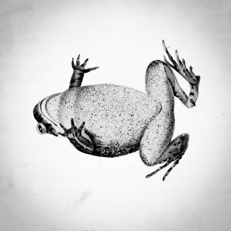 palakang nasagasaan cover art