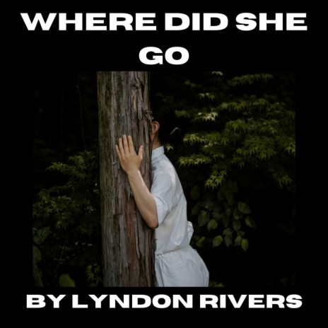 Where Did She Go cover art