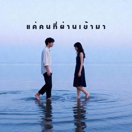 แค่คนที่ผ่านเข้ามา cover art
