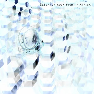Elevator cock fight