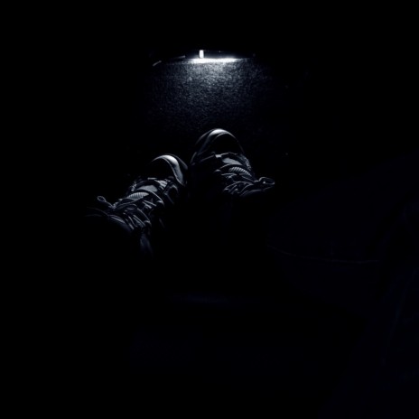 The light is shining cover art
