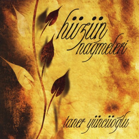 Sultanımız Muhammed cover art