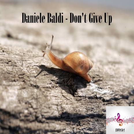 Don't Give Up (Original Mix) cover art